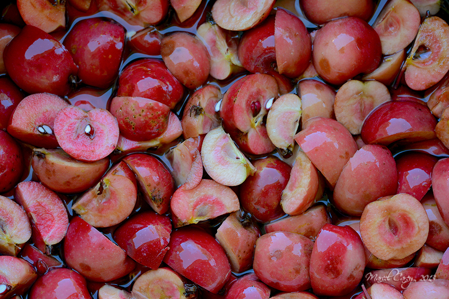 crab apple gelly prep.jpg