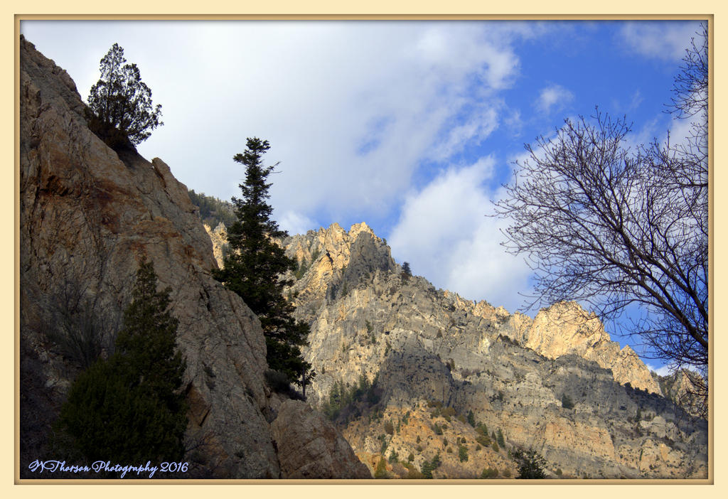Craggy Mountain 3-7-2016.jpg