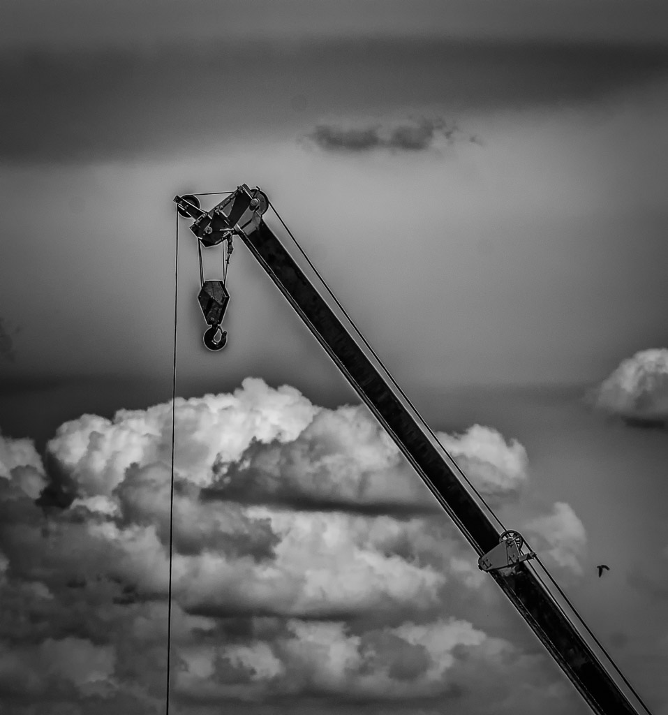 crane-1.jpg