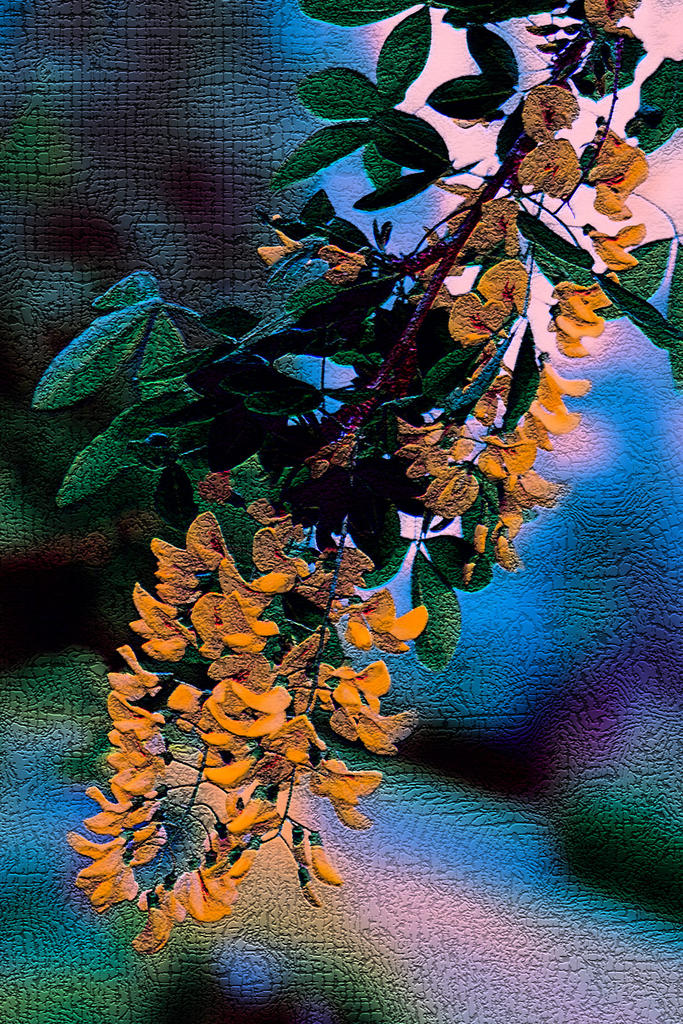 Craquelure.jpg