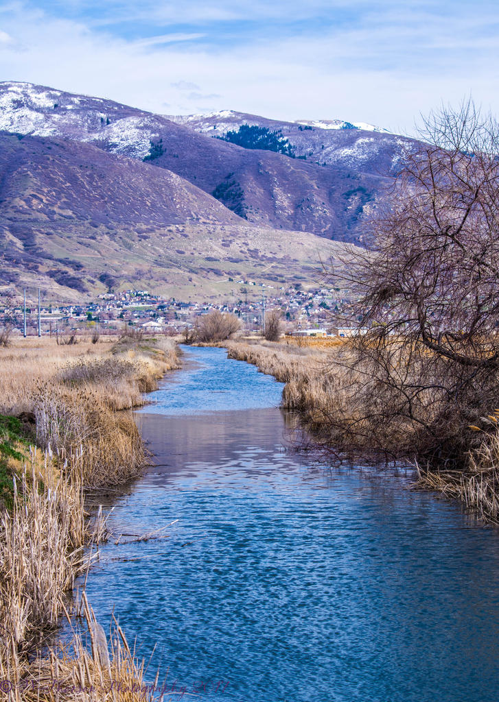 Creek at Farmington Bay 3-18-2017.jpg