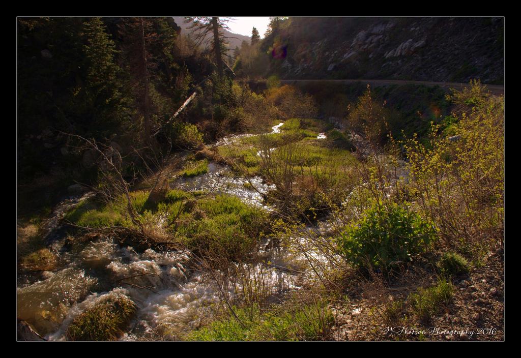 Creek at the Top of the Mountain 5-21-2016.jpg