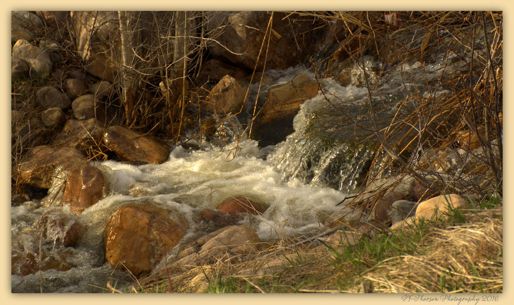 Creek Running out of the Mountains  3-27-2016.jpg