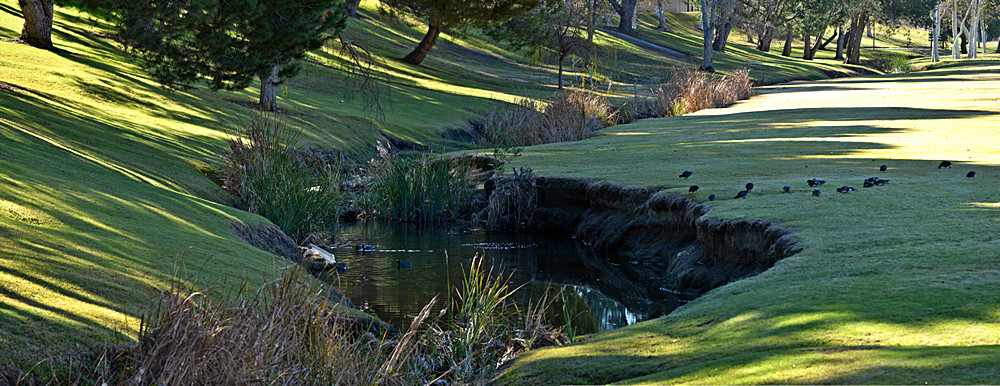 Creek3.jpg