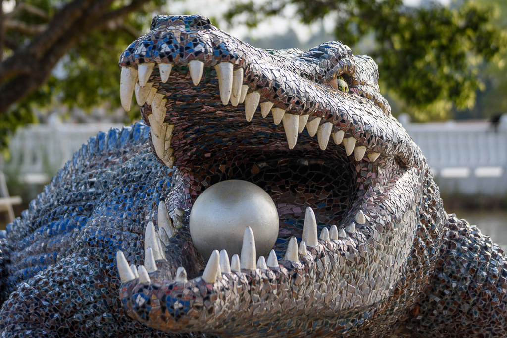 crocky-head-1.jpg