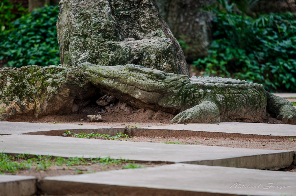 crocodile-3.jpg