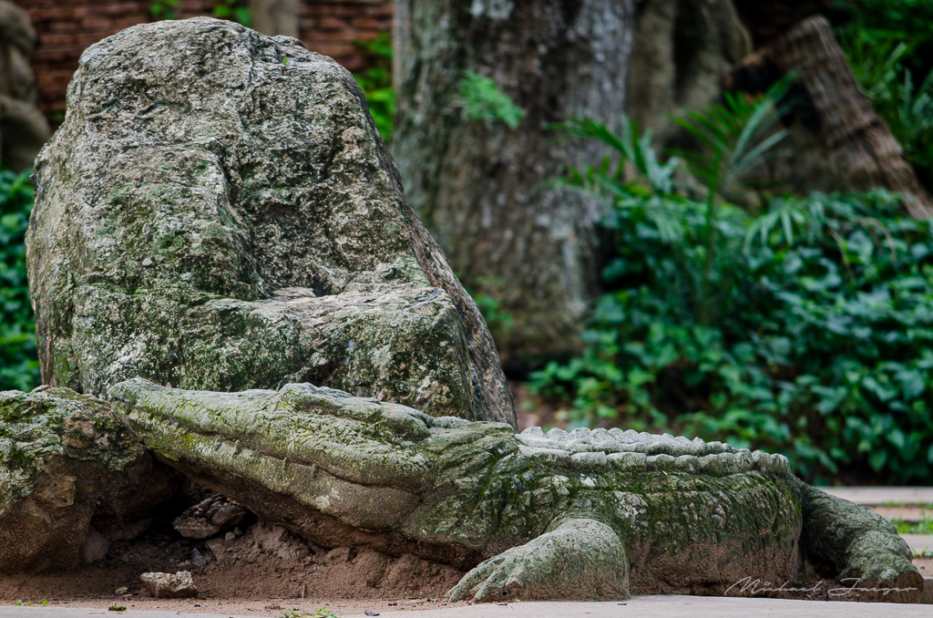 crocodile-4.jpg