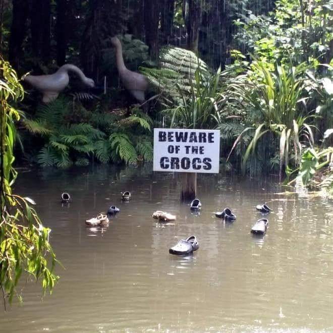 crocs.jpg