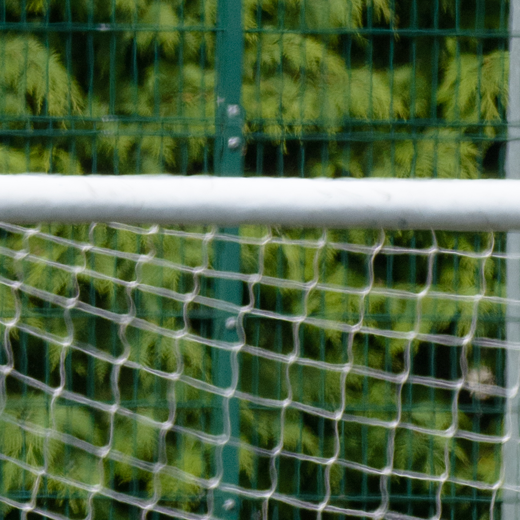 crop2.jpg