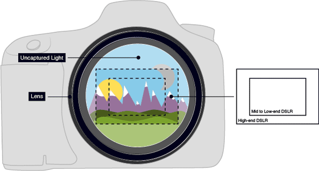 crop_factor.png