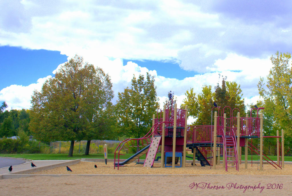 Crows on the Playground 10-5-2016.jpg
