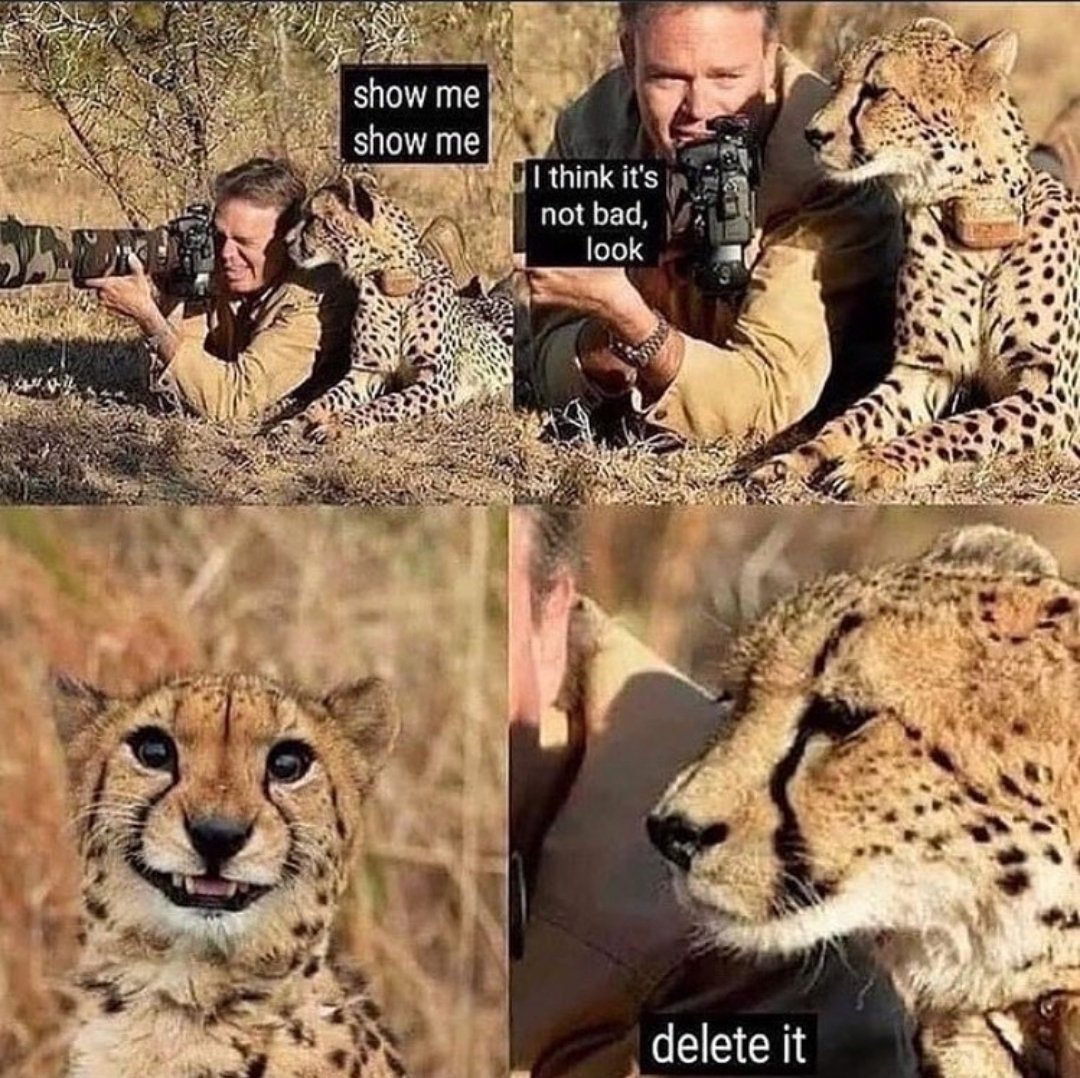 cxgyx4nrlioo.jpg