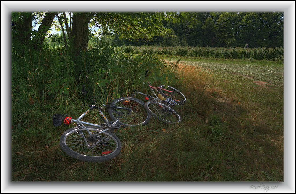 cycling in the country.jpg