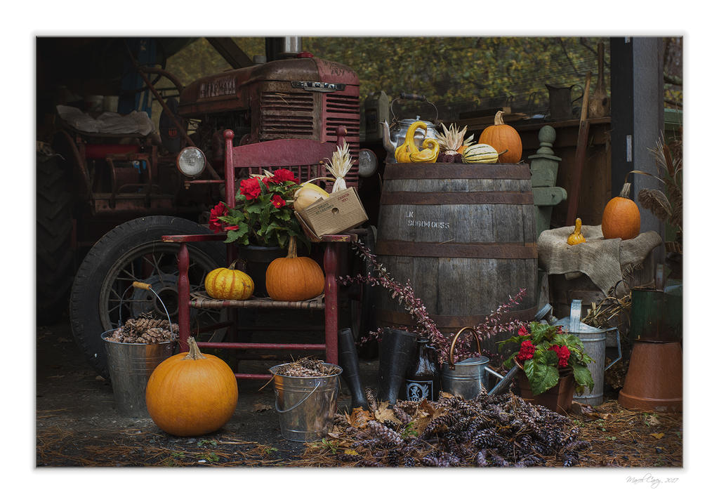 déco automne version2.jpg