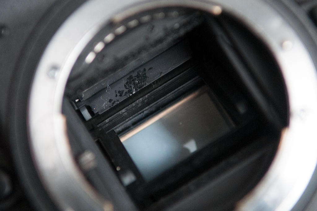 D300s.jpg