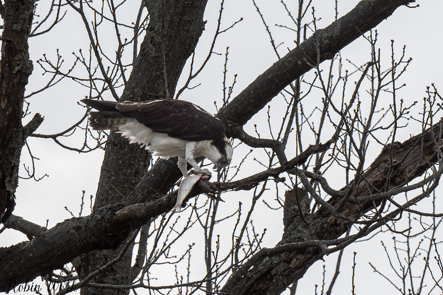 D50_3122.jpg