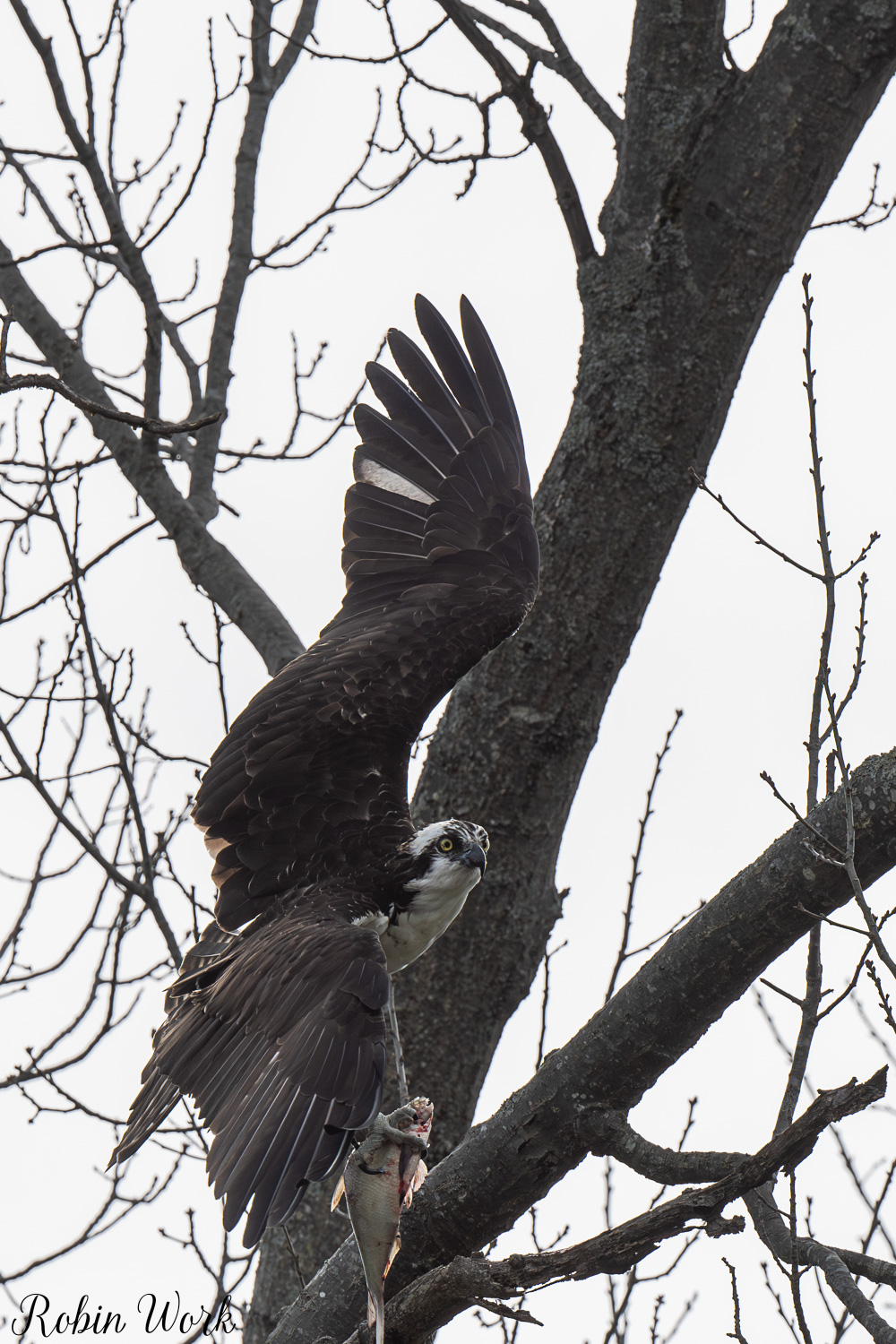 D50_3127.jpg