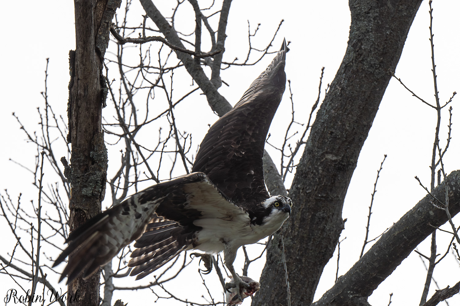 D50_3128.jpg