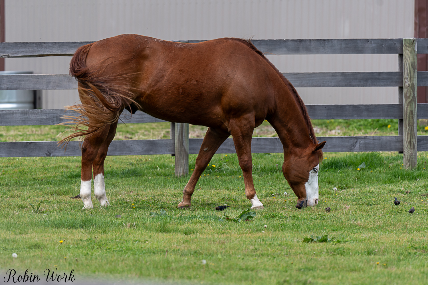 D50_3376.jpg