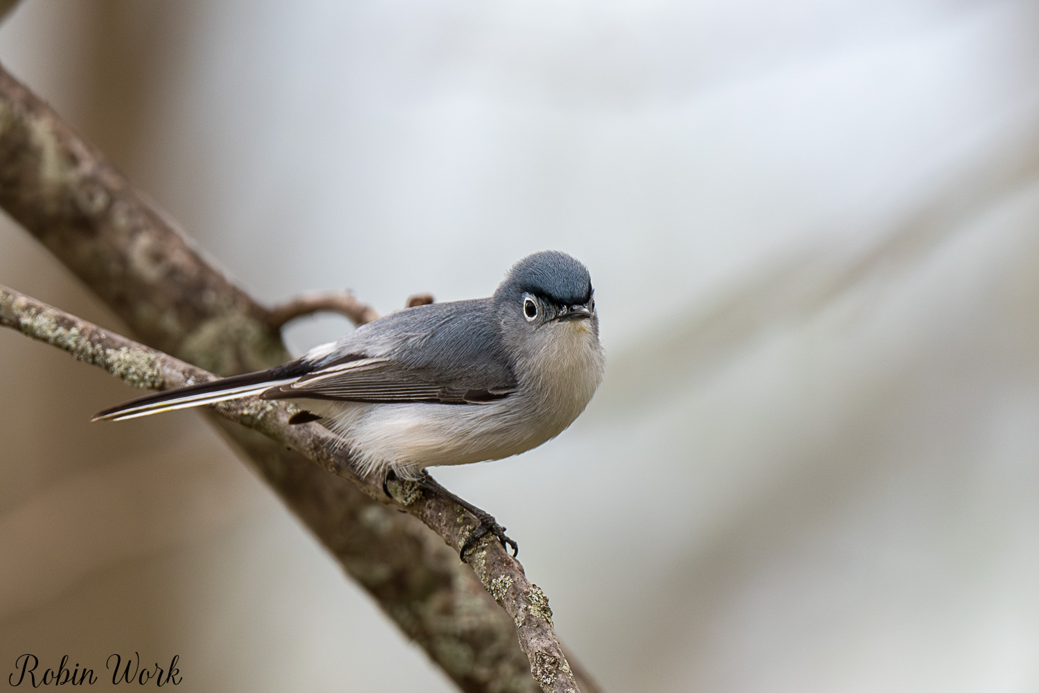 D50_3414.jpg