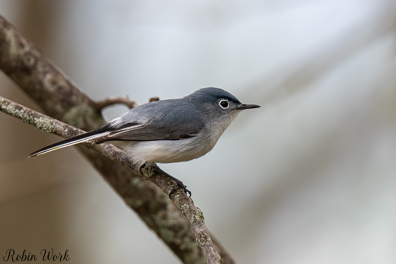 D50_3416.jpg