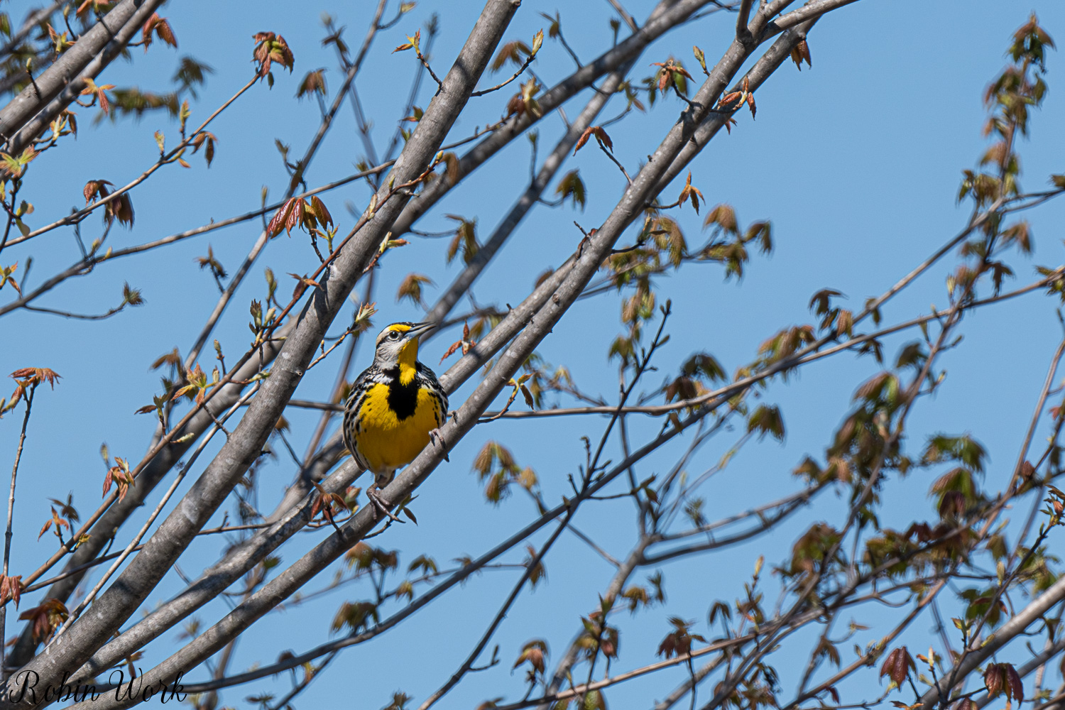 D50_3496.jpg