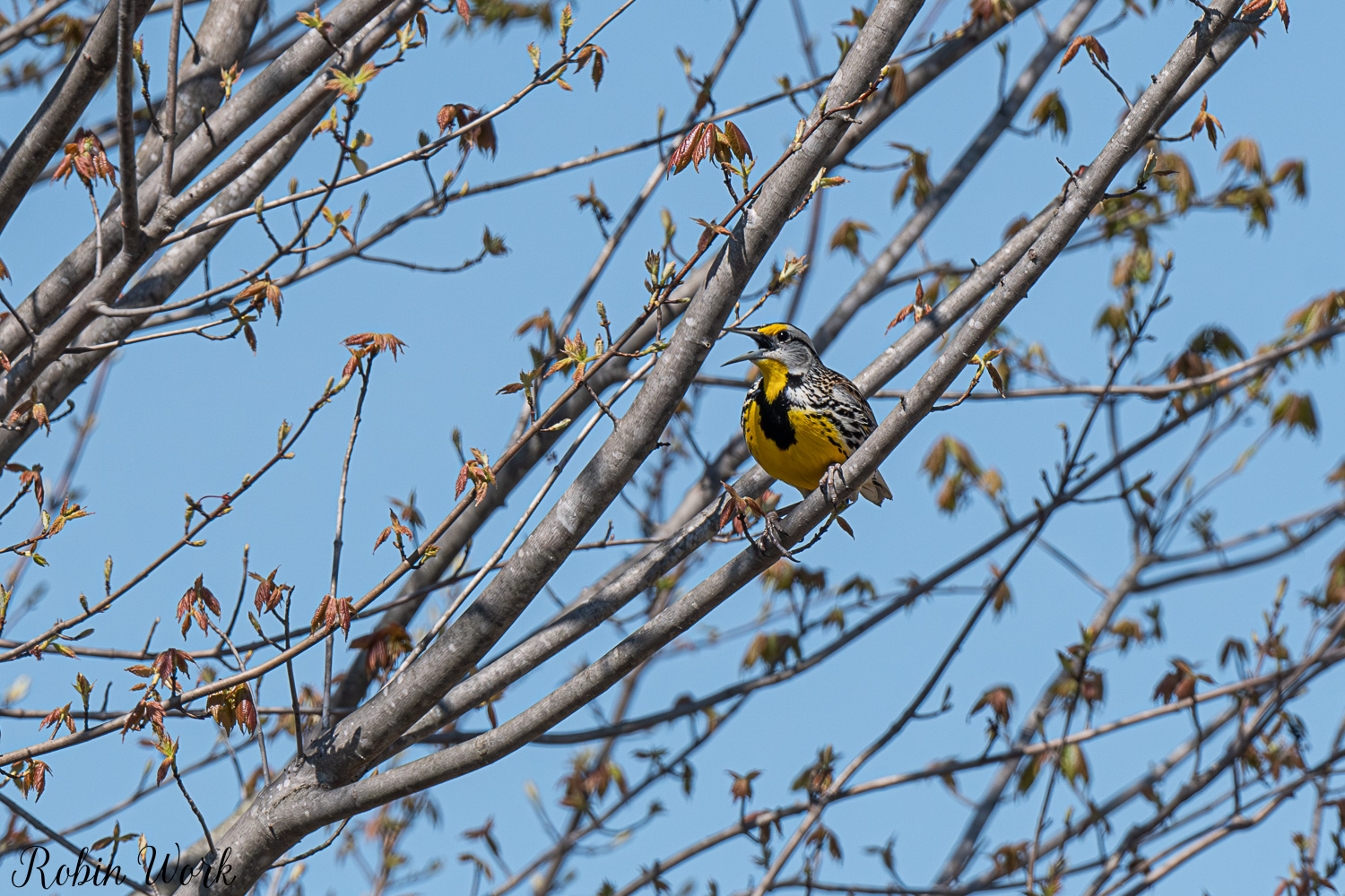 D50_3502.jpg