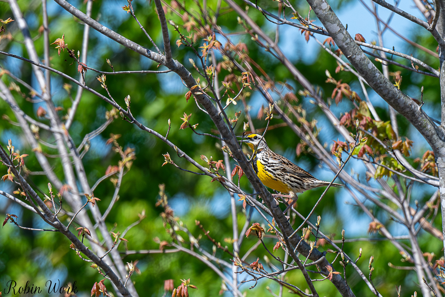 D50_3537.jpg