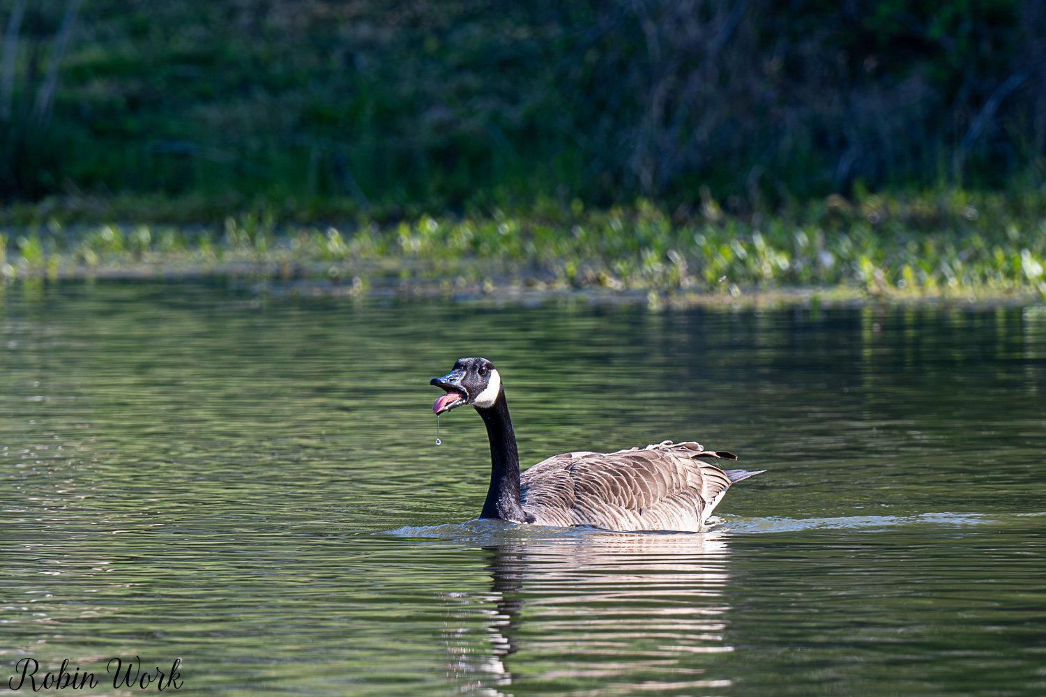 D50_3626.jpg