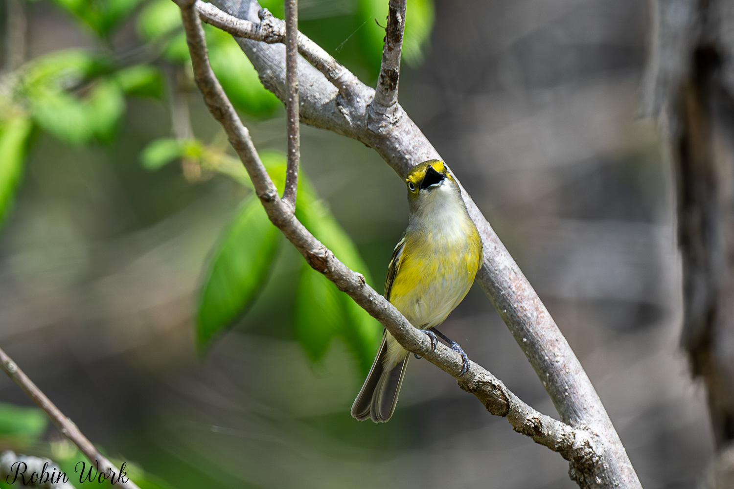 D50_3879.jpg