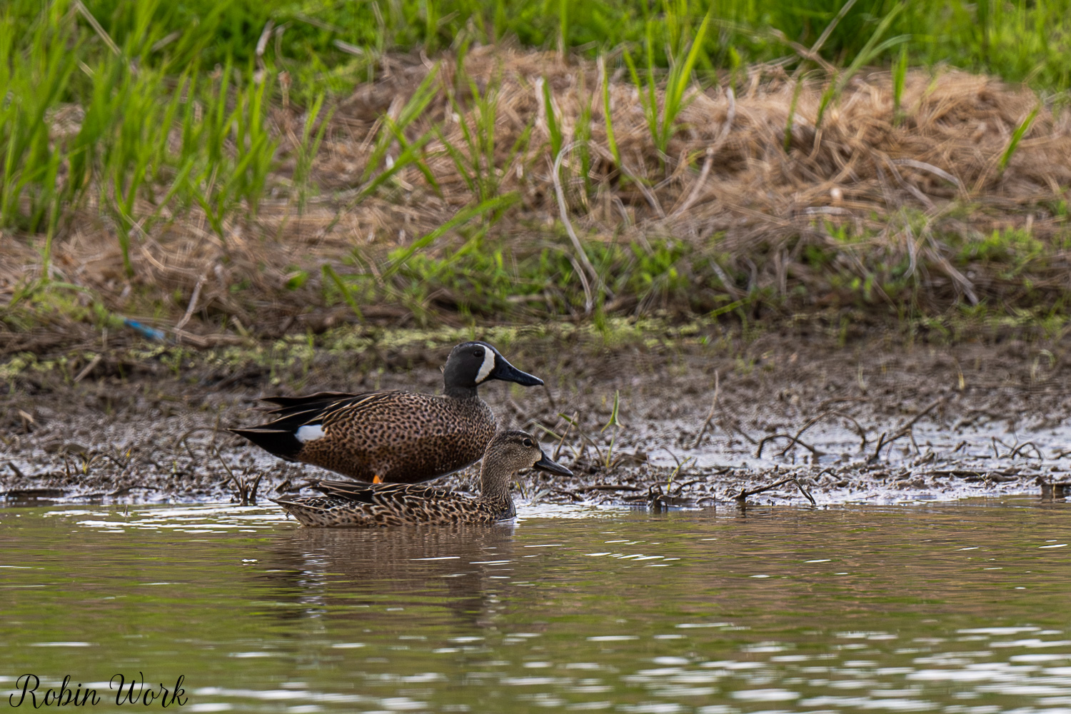 D50_3989.jpg