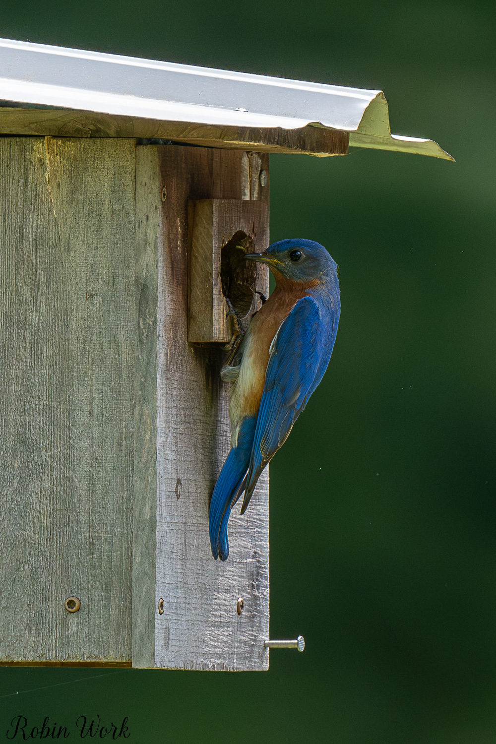 D50_5065.jpg