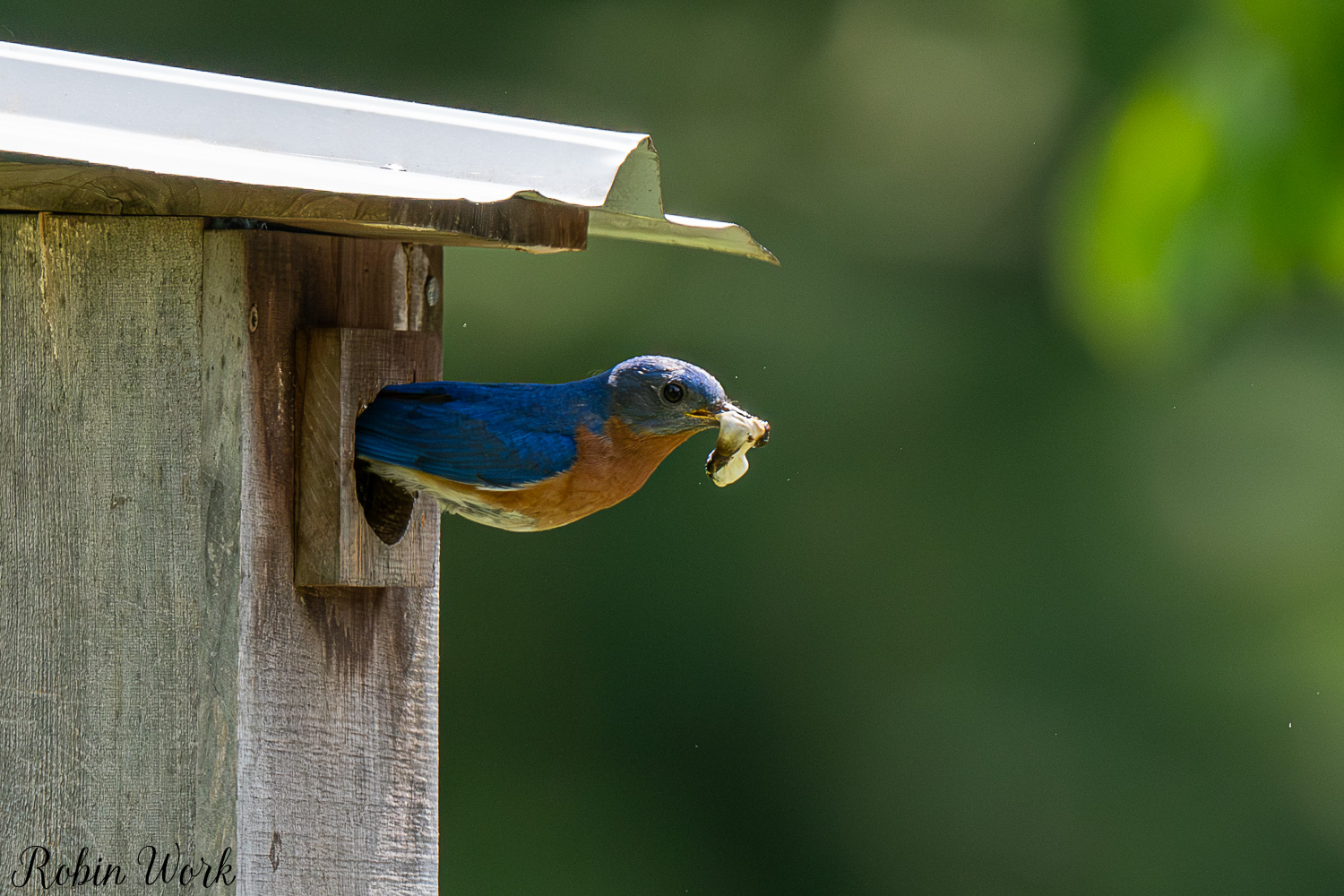 D50_5077.jpg