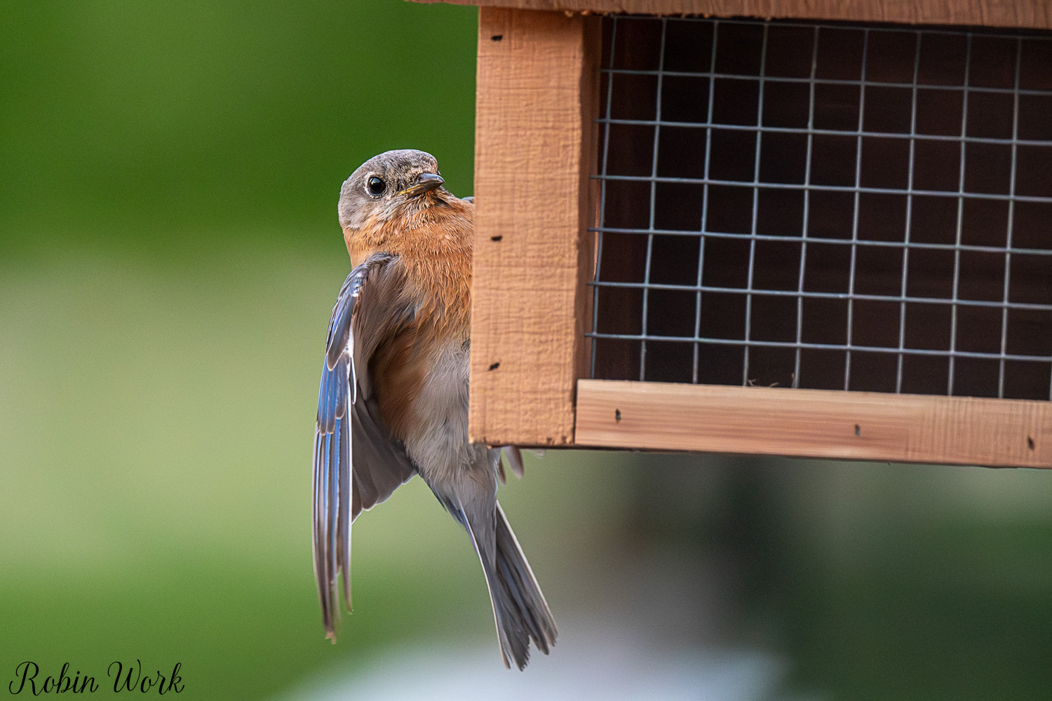 D50_5106.jpg