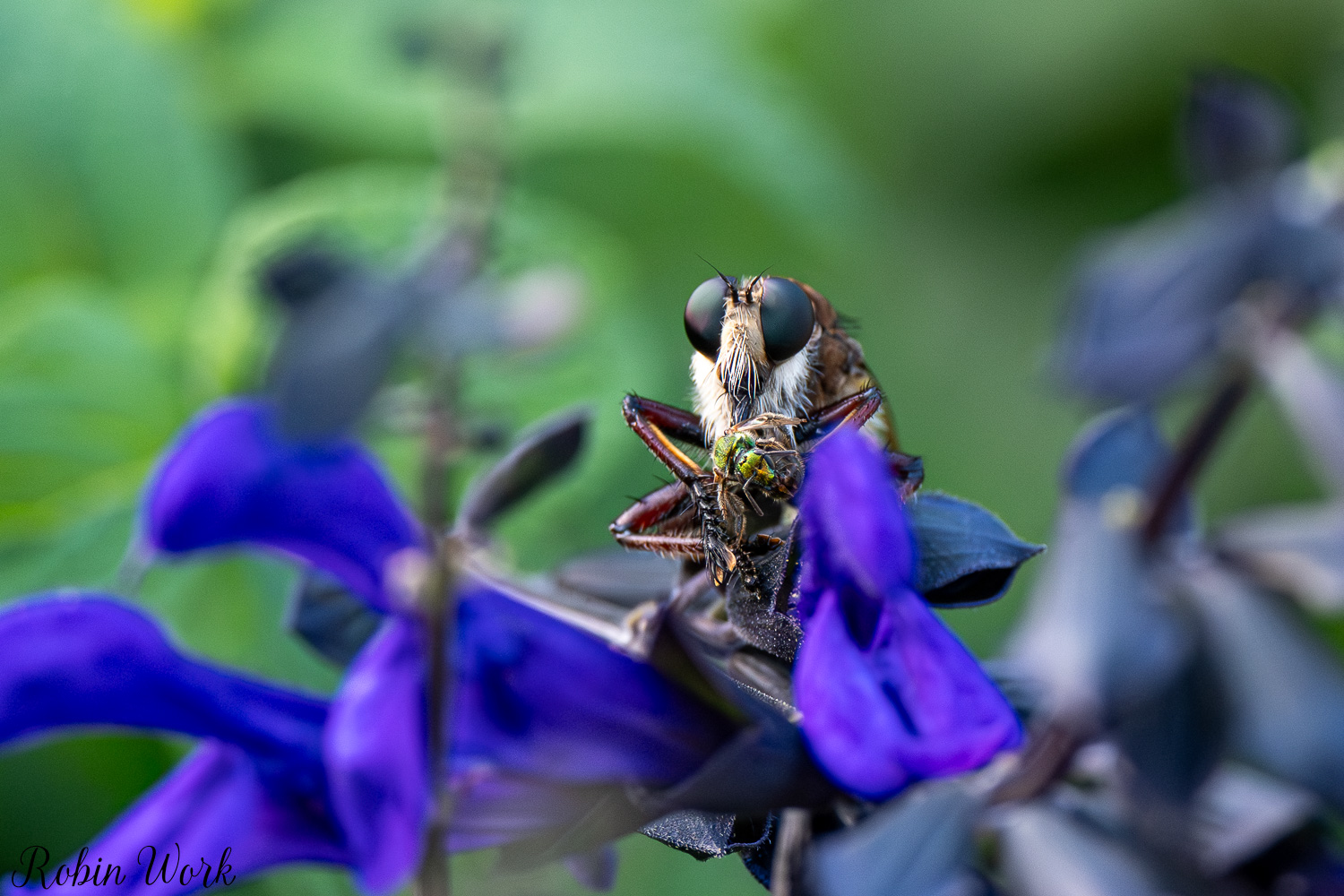 D50_8773.jpg