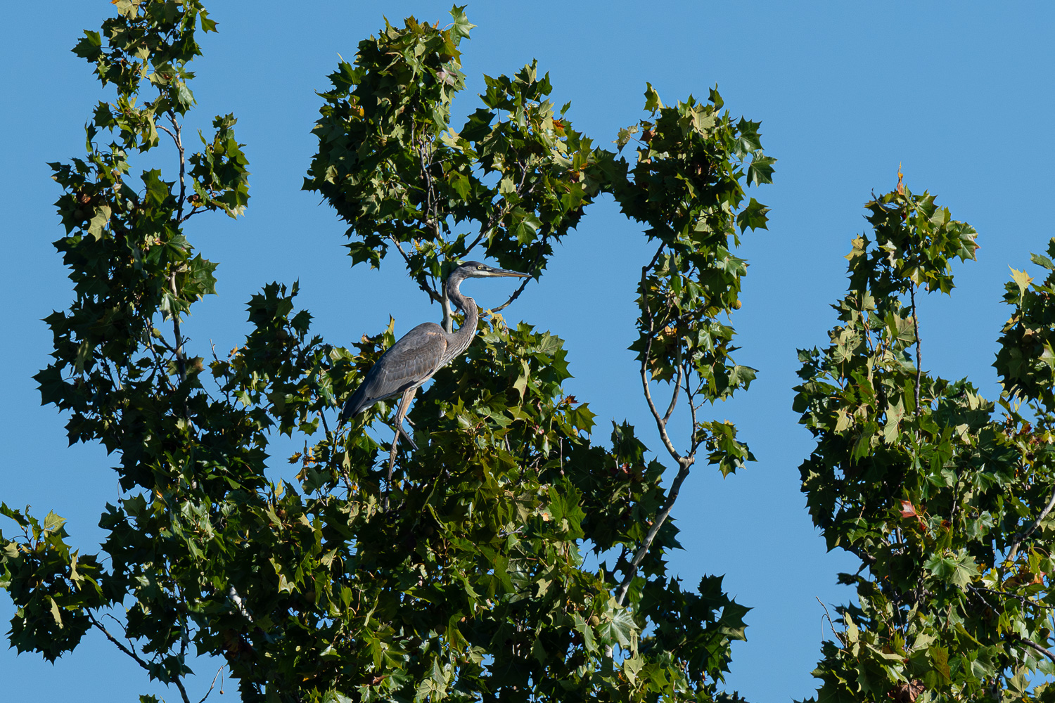 D50_9880.jpg