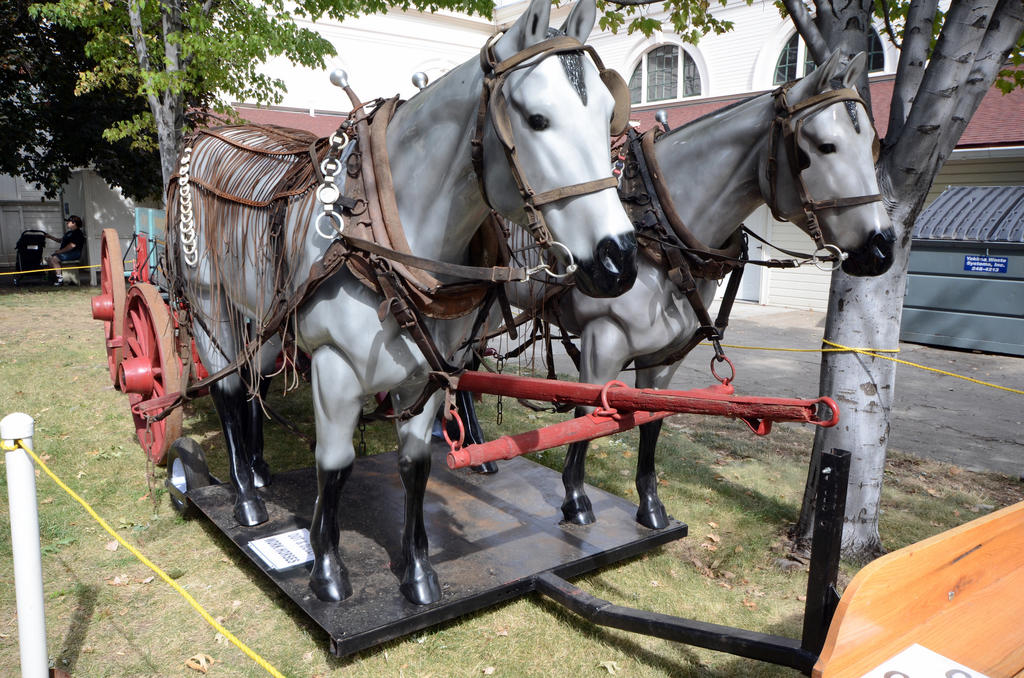 D5100 10-20 FAIR 031.jpg