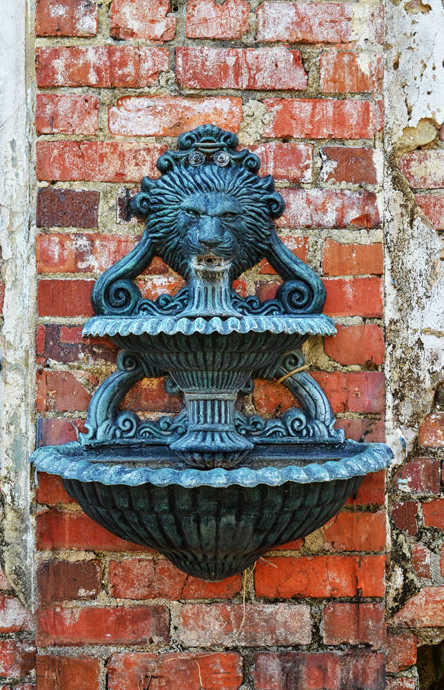 D5100_00650.jpg