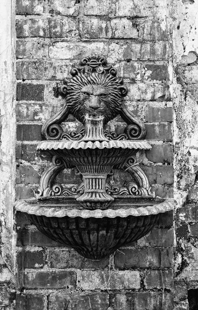 D5100_00650bw.jpg