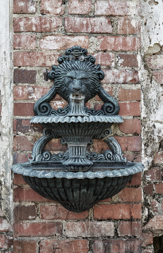 D5100_00650low.jpg