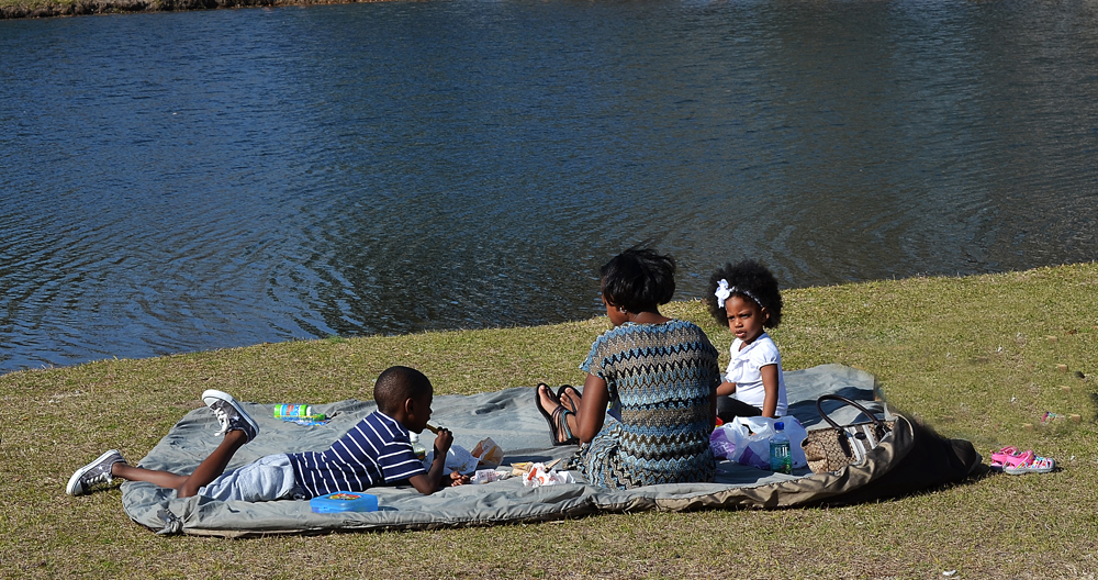 D5100_00775.jpg