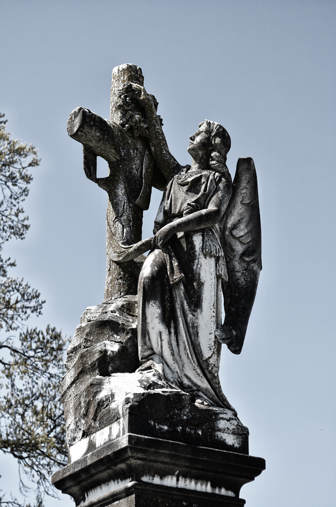 D5100_00856sm.jpg