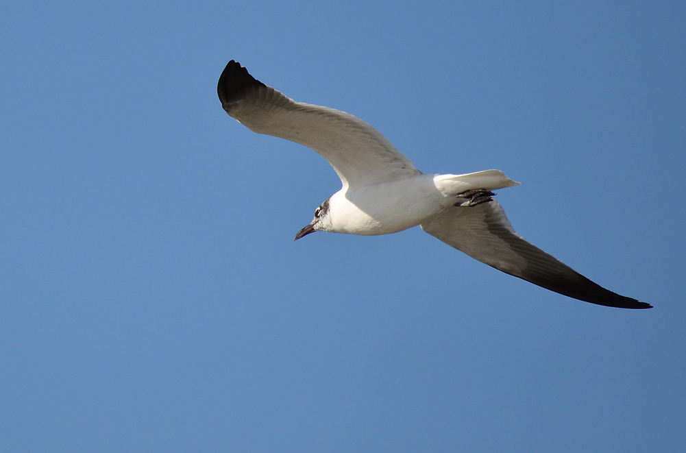 D5100_01010.jpg