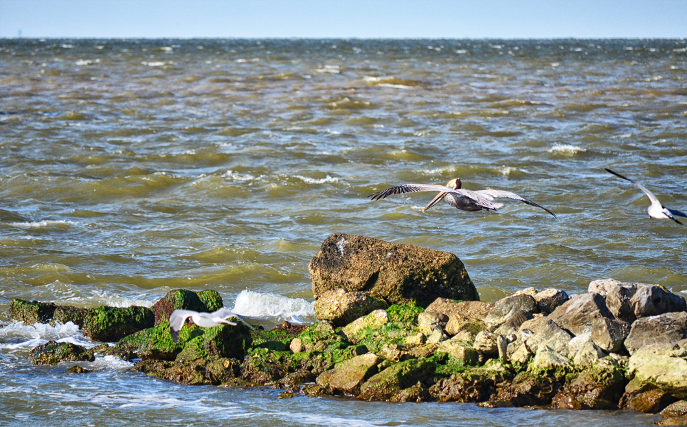 D5100_01019.jpg