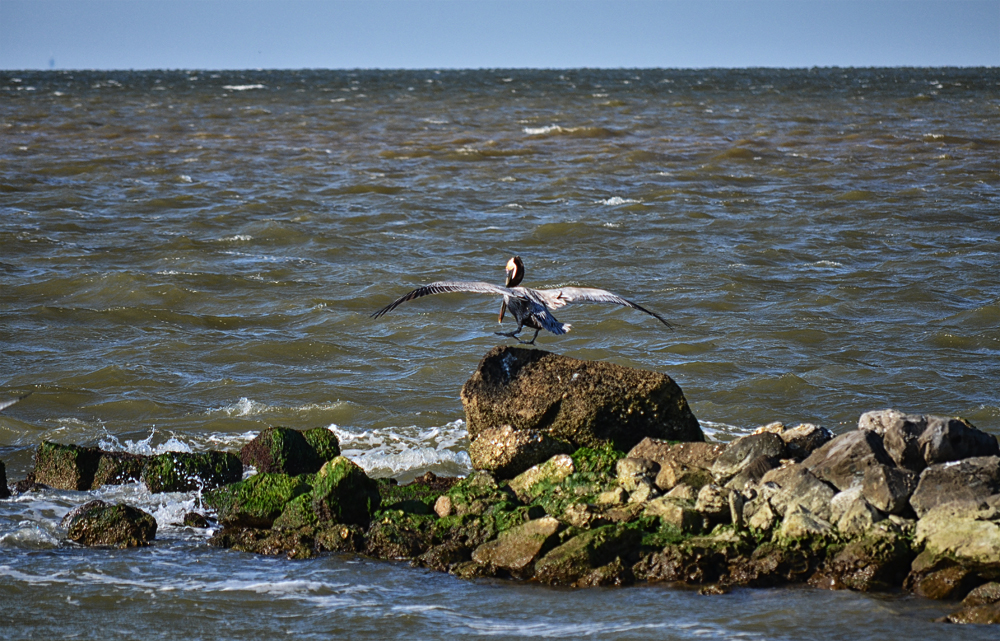 D5100_01020.jpg