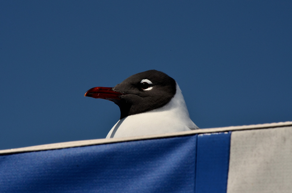 D5100_01199.jpg