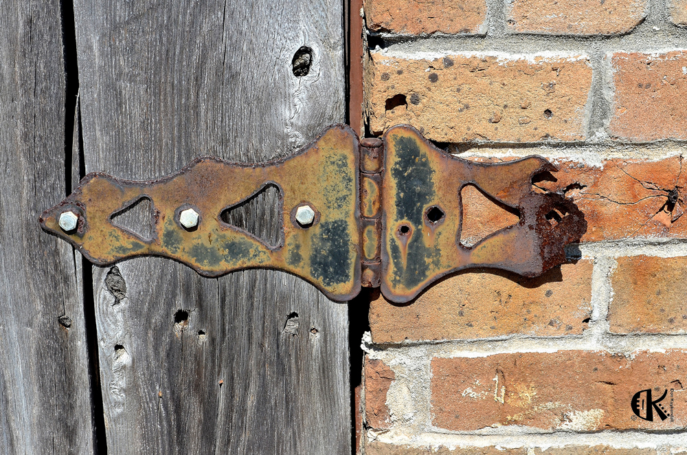 D5100_01296.jpg