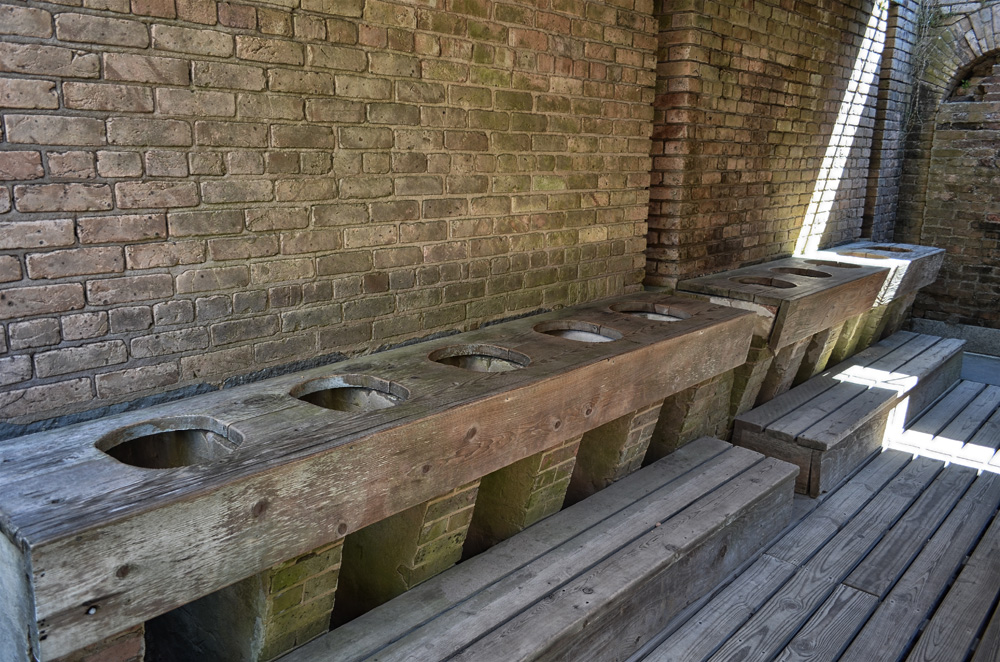 D5100_01335.jpg