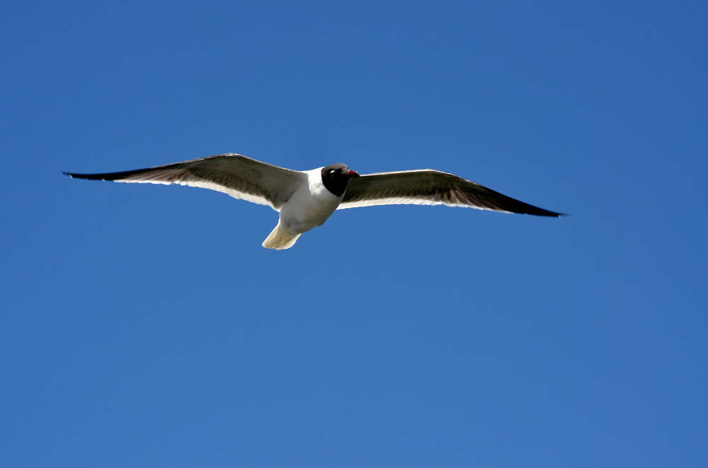 D5100_01378.jpg