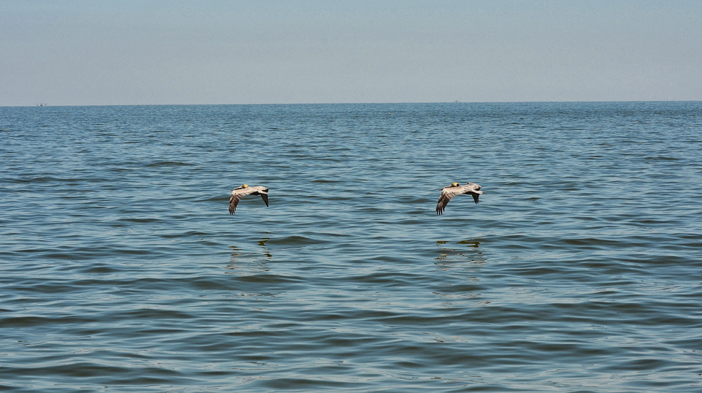 D5100_01384.jpg